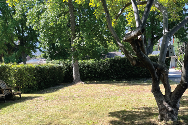 16 Perkins Dr Front Lawn
