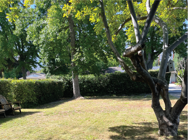 16 Perkins Lawn