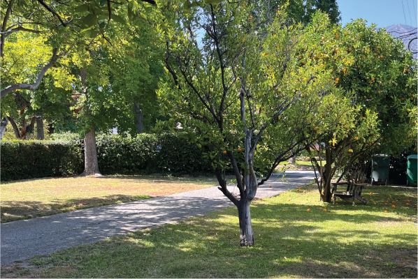 16 Perkins Upper Driveway